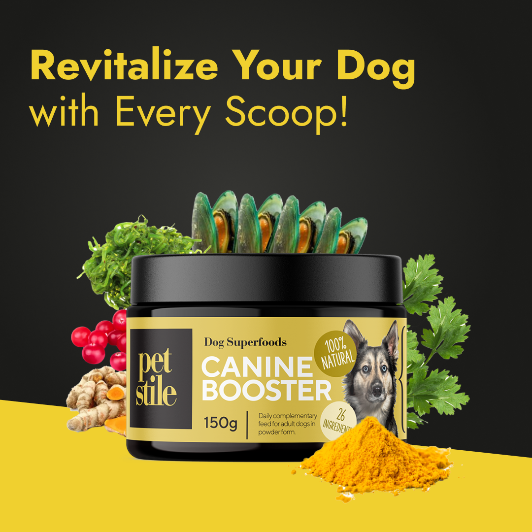 Is your furry friend camera-ready? We need pet parents who can talk about real results