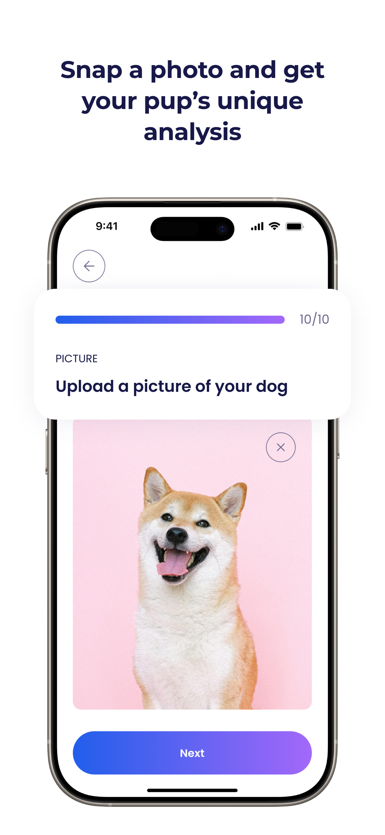 Woof: Pet Care Made Playful