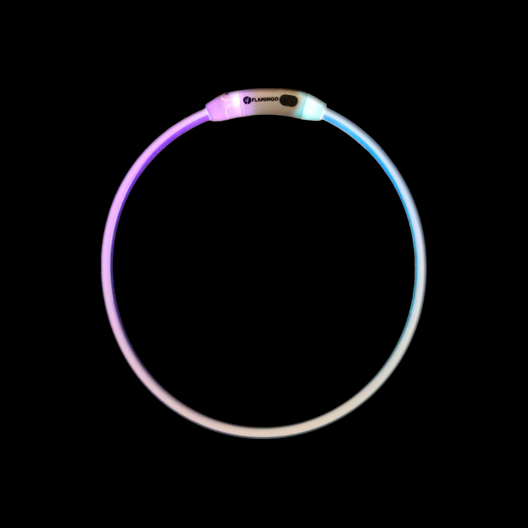 Collar Raina Visio Mix