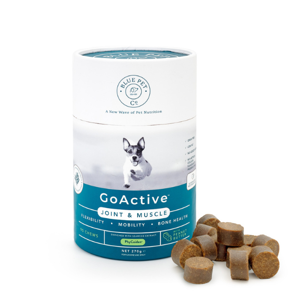 GoActive Adventures with Blue Pet Co. 🐾: Discover Superior Joint Health for your Furry Friend!