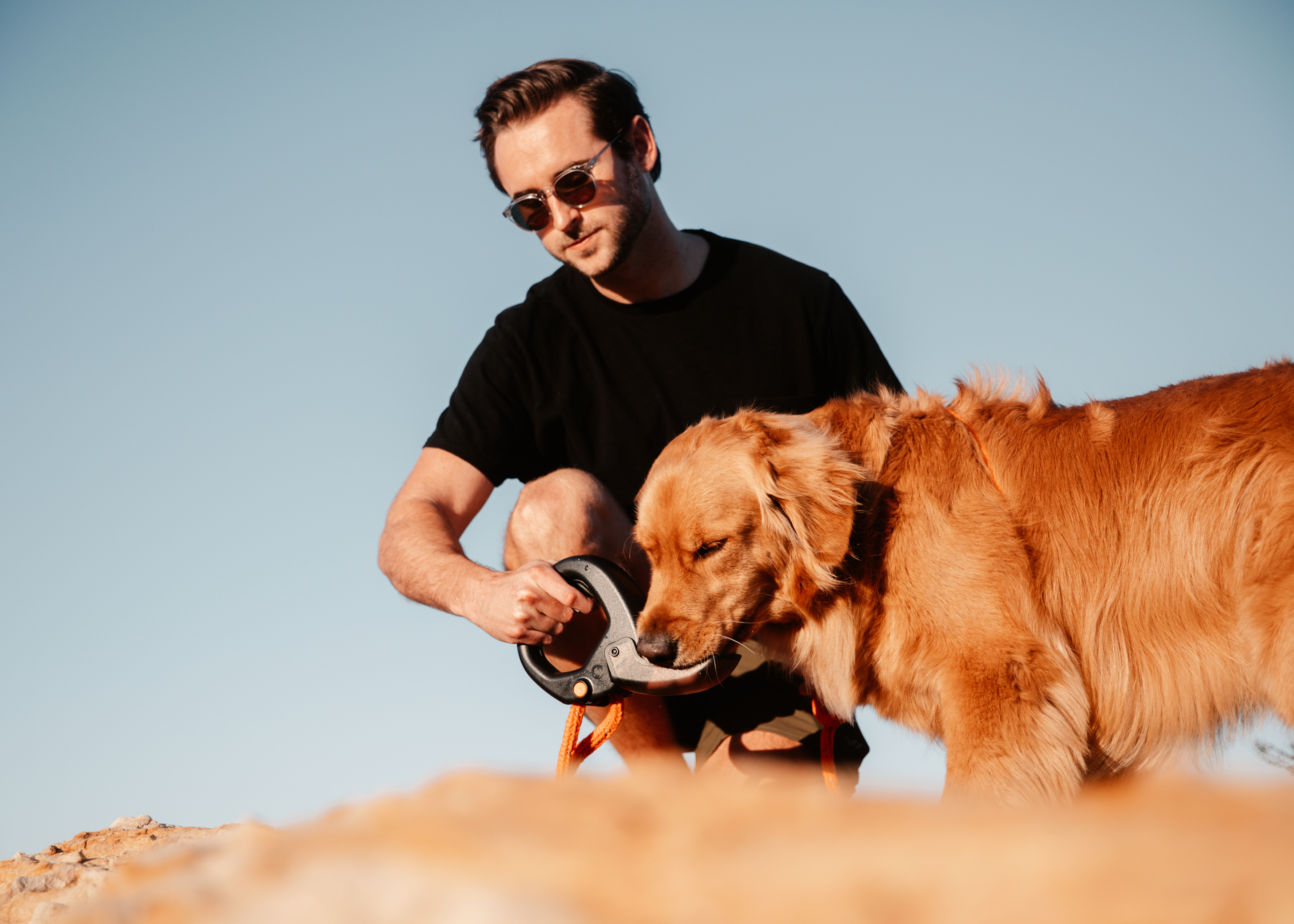 Spleash Your Way to Fun: Adventure, Hydration, and Protection for Your Dog 🐶