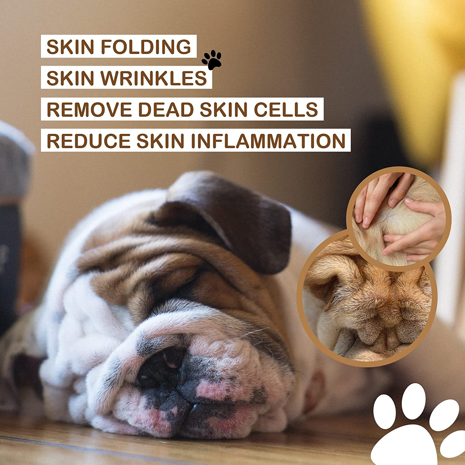 Kelebs Skin Scrub Dog Shampoo For Short Hair