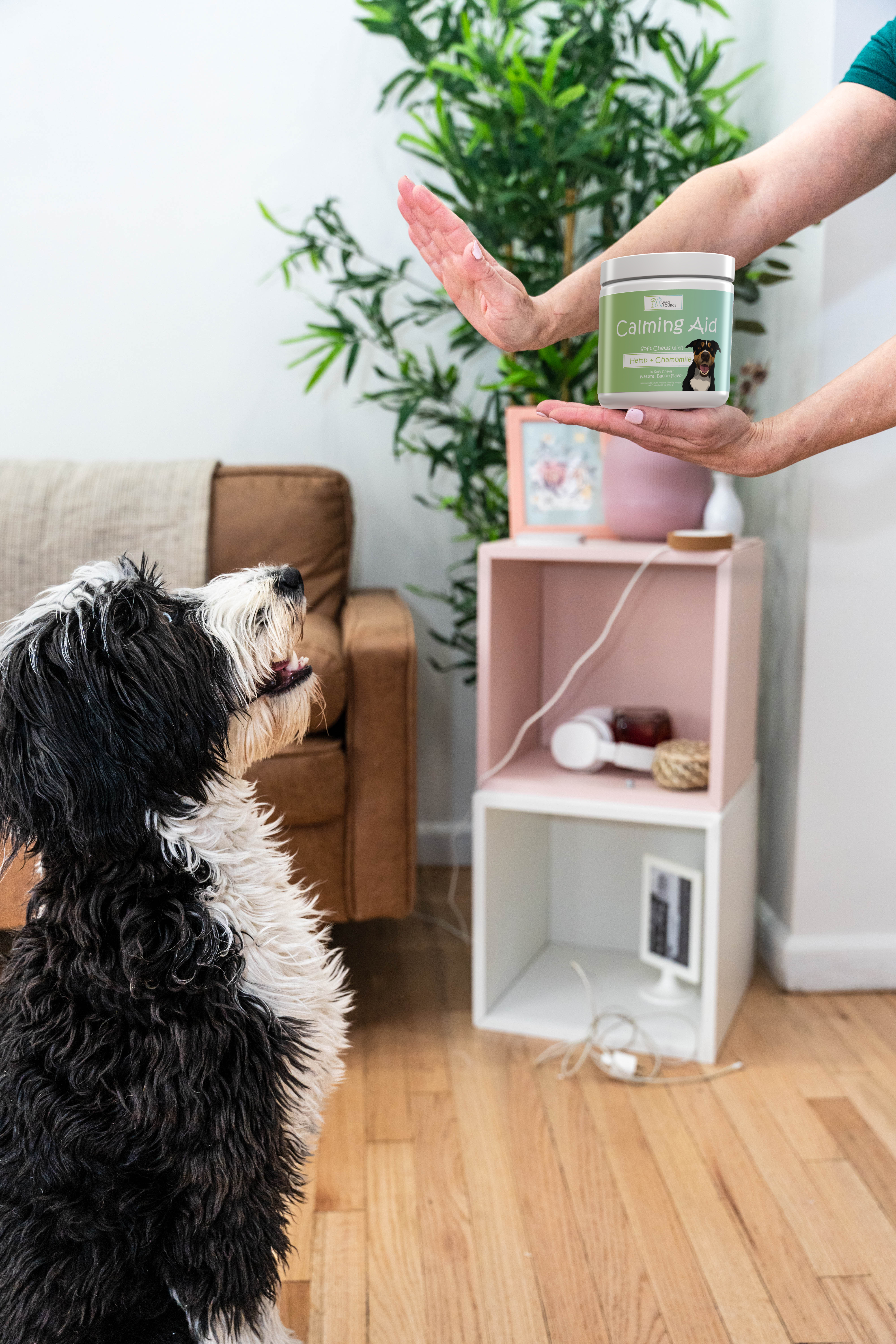 Calming + Anxiety Relief Soft Chews for Dog