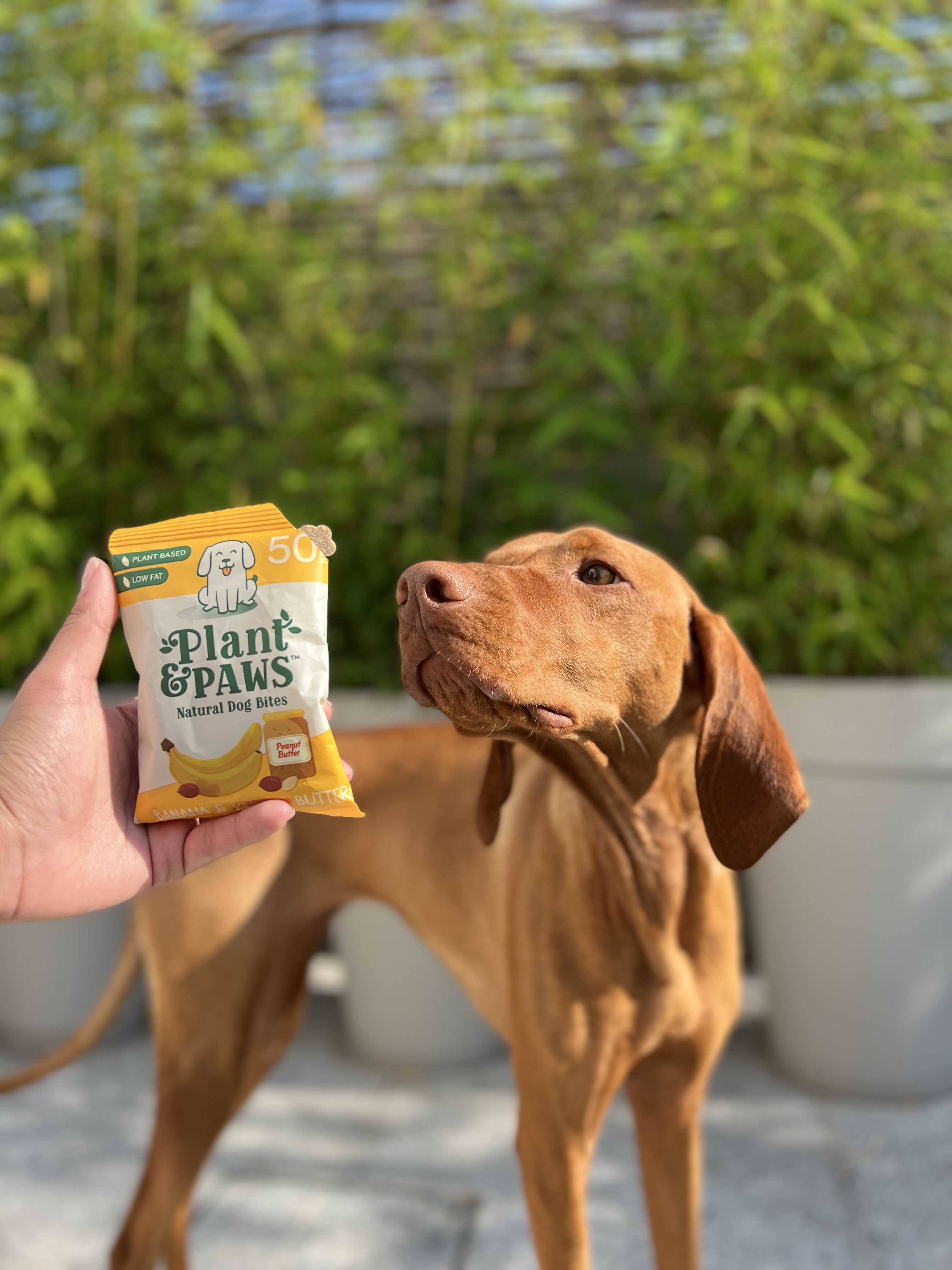 Banana and Peanut Butter Natural Bites