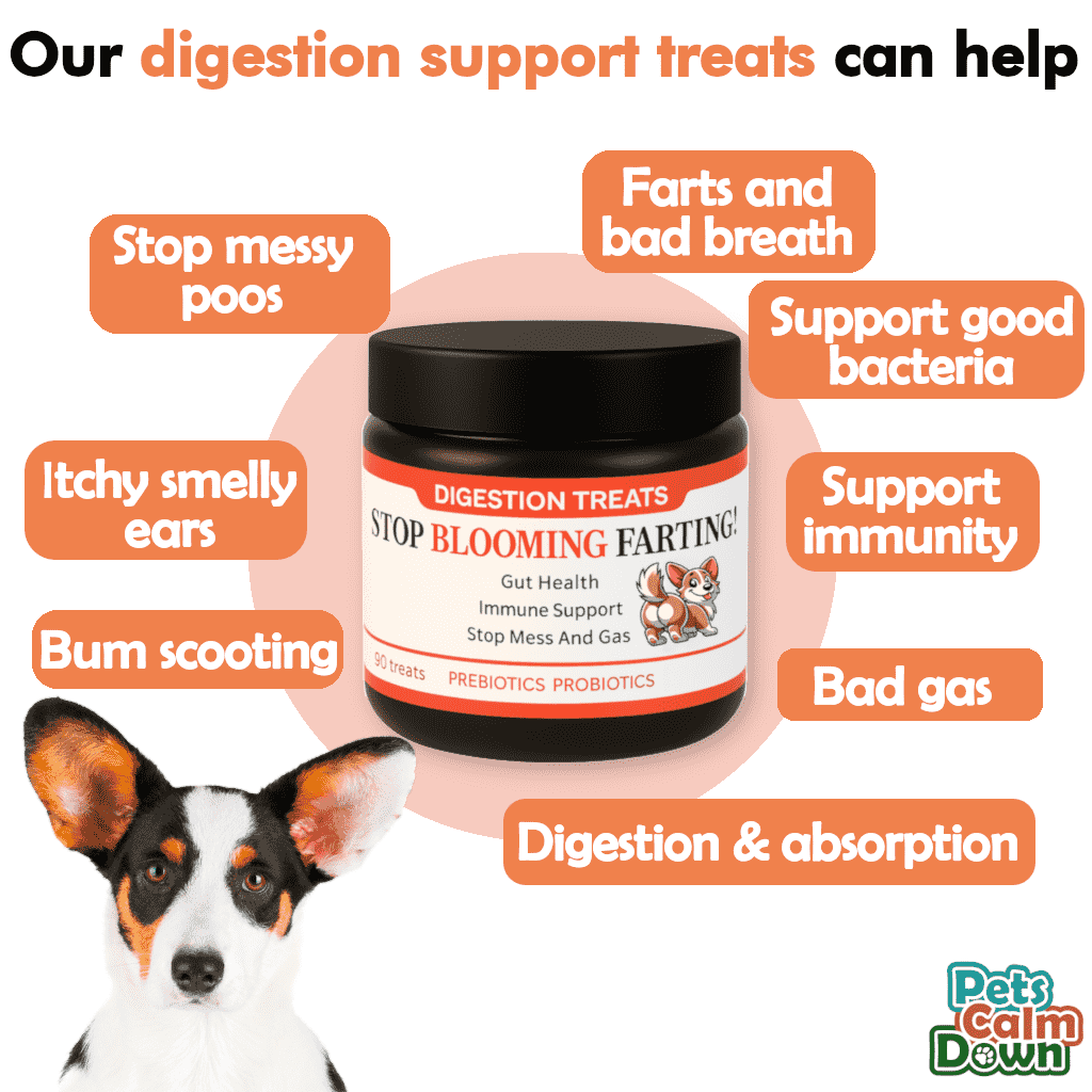 Stop Blooming Farting