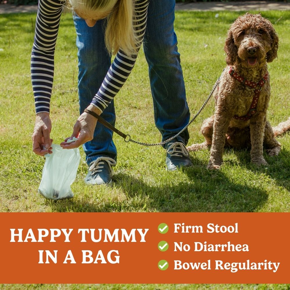 Pumpkin Powder For Dogs