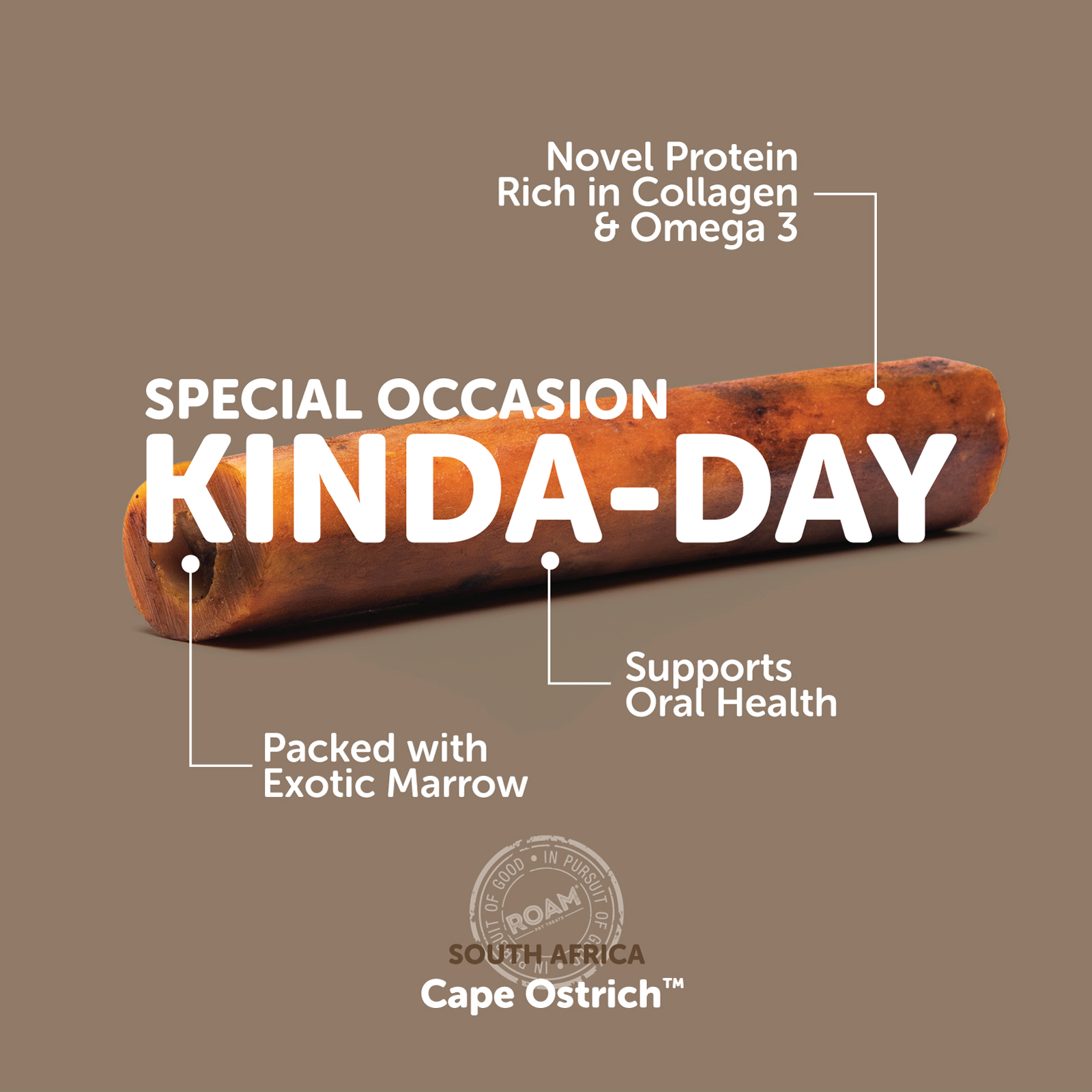 ROAM® Smoked Marrow Dog Bone Treat - Cape Ostrich