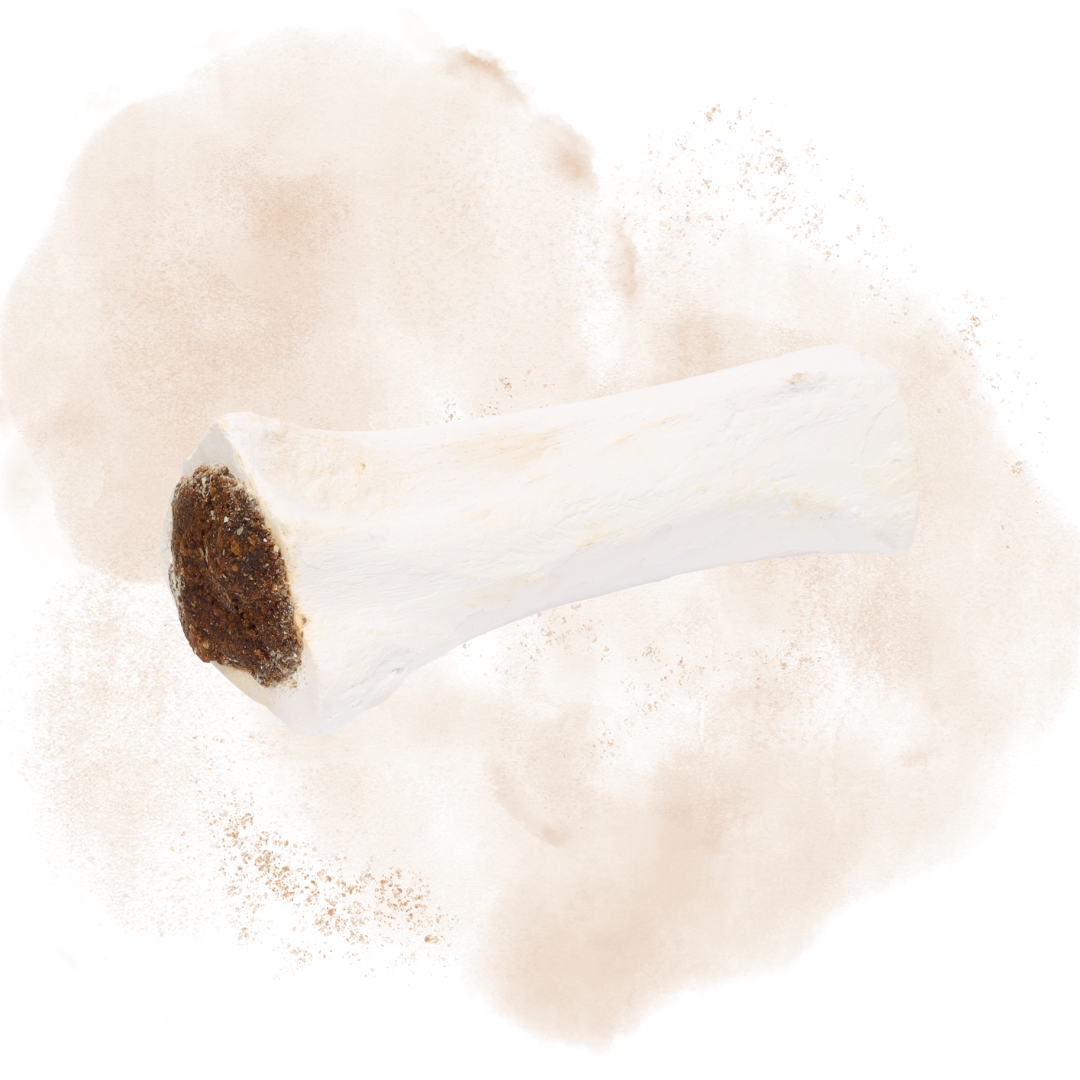 Snacks Nature Buffalo Calcium Bone with Lung L