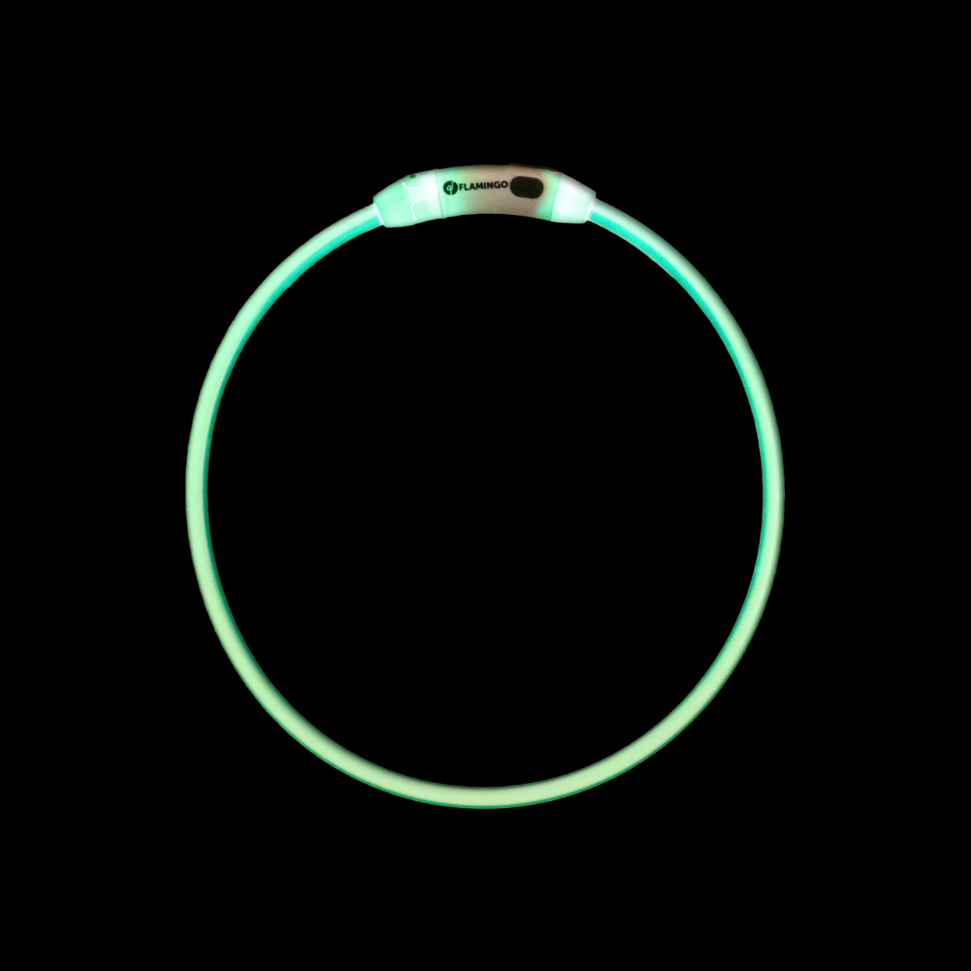 Collar Raina Visio Mix