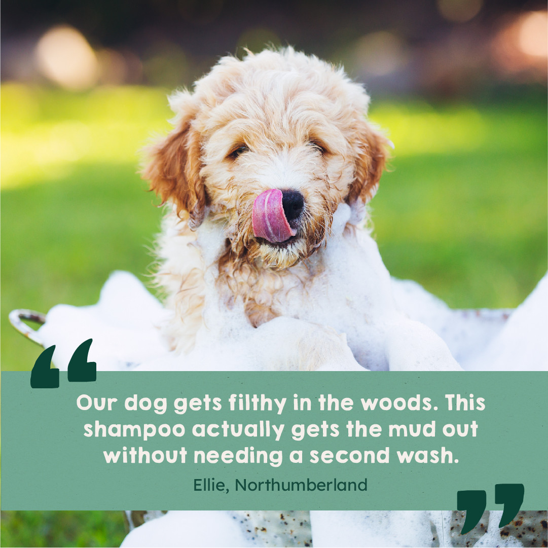 Muddy Paws Conditioning Dog Shampoo