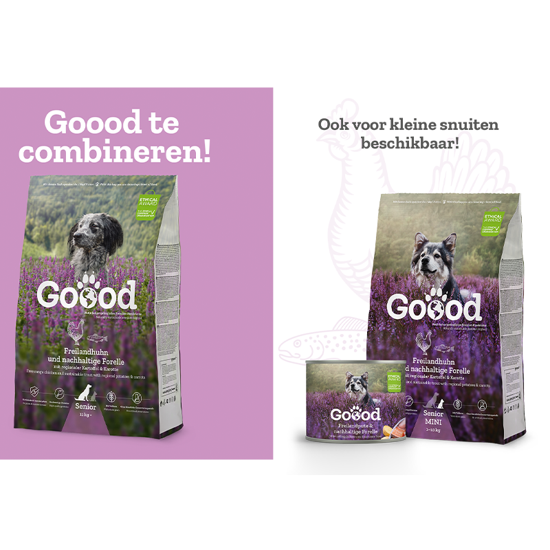 Mini Senior | Free range turkey & sustainable trout