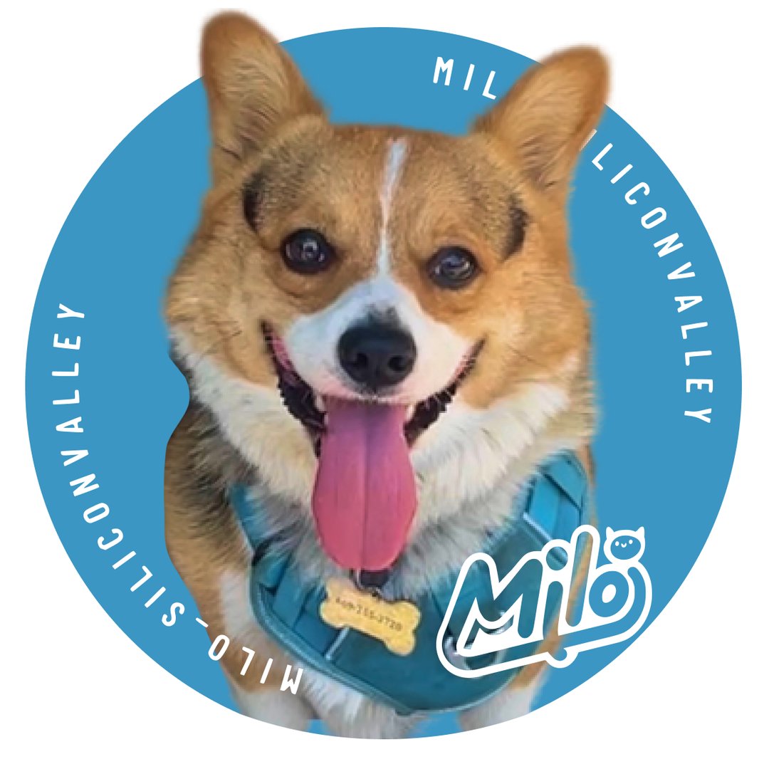 milo_siliconvalley