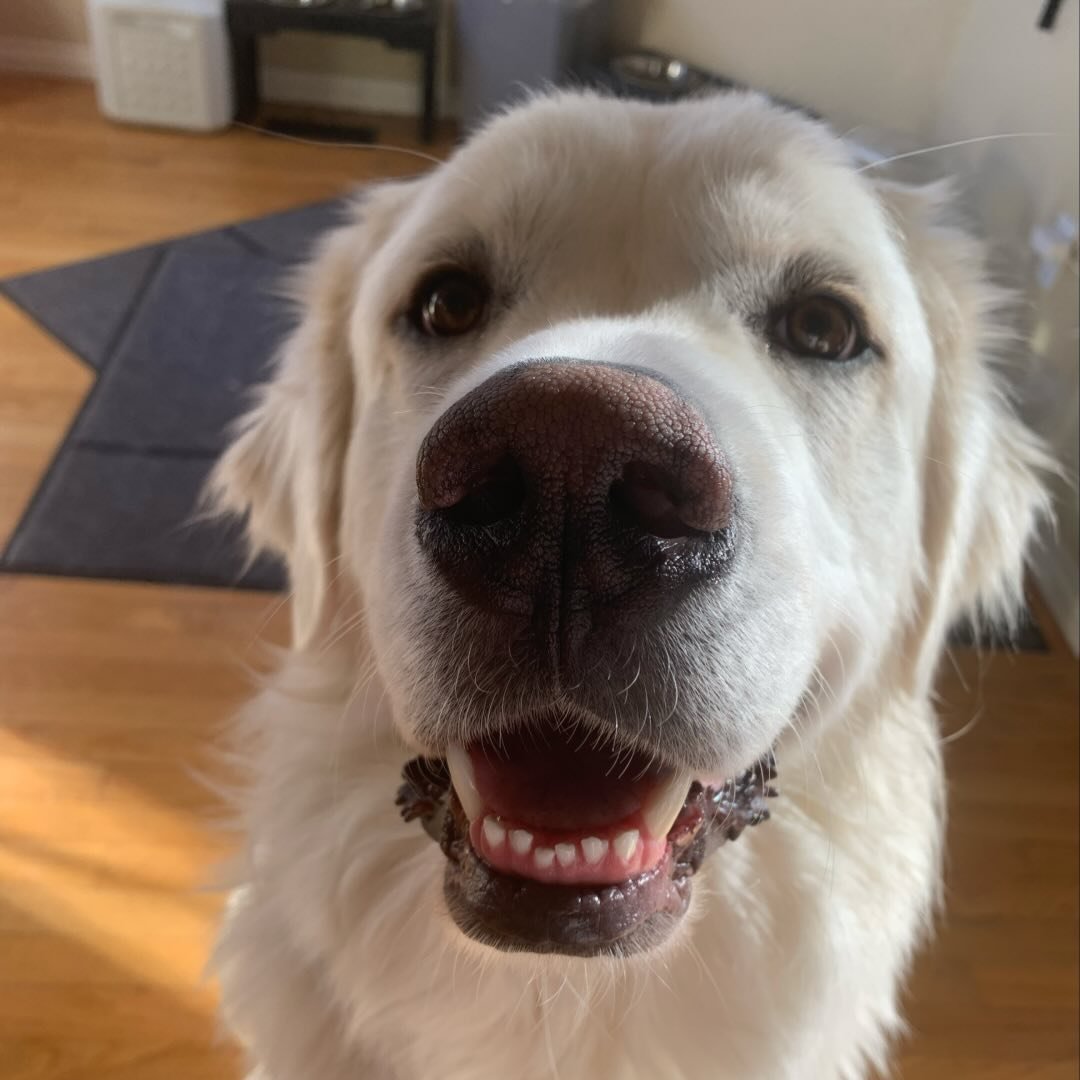 @bubbas.big.adventure