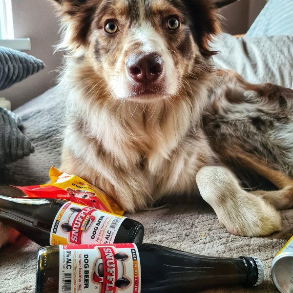 Not everything is suitable for puppies. ;)