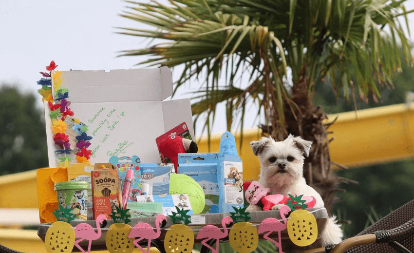 Spike boomer met box