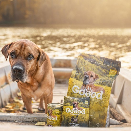 Top 30 Best Dog Brands You Need to Know About