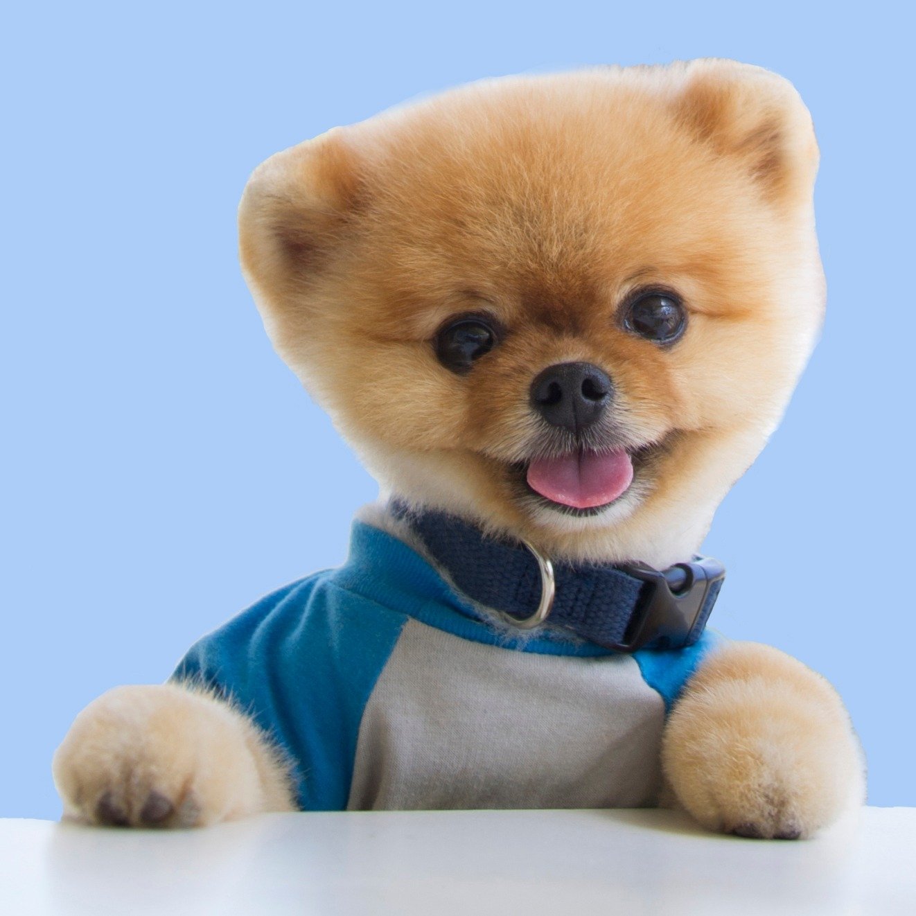 Jiffpom