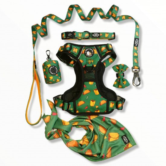 Dog green clothing set