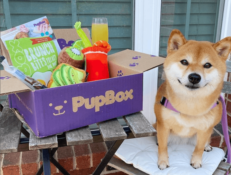 Top 25 Dog Toy Ambassadors