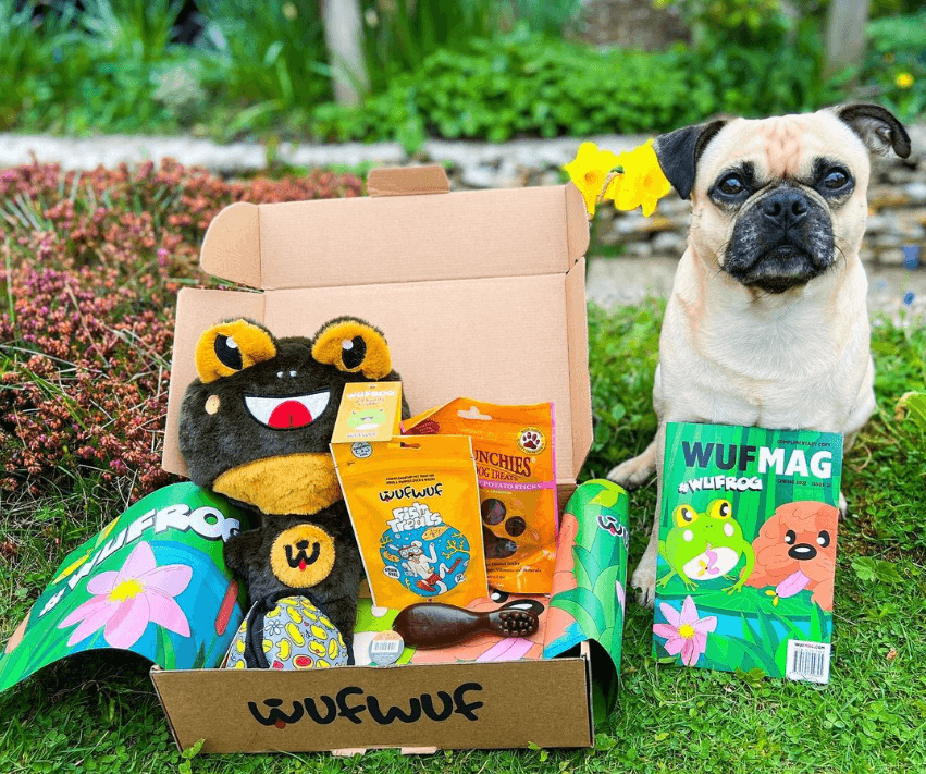 WufWuf box with pug Derick