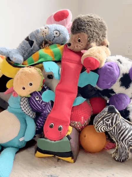 Zuko plays hide and seek under his toys