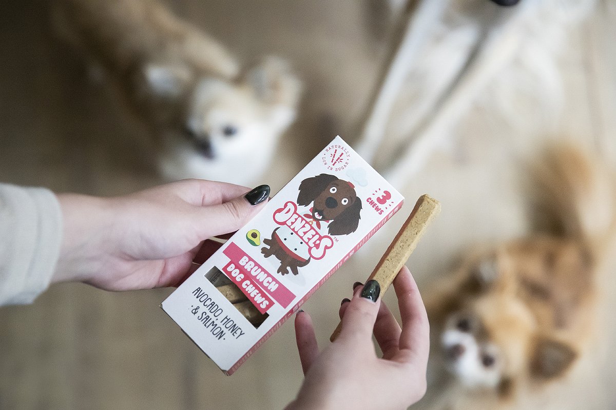 Denzel's snack with two dogs