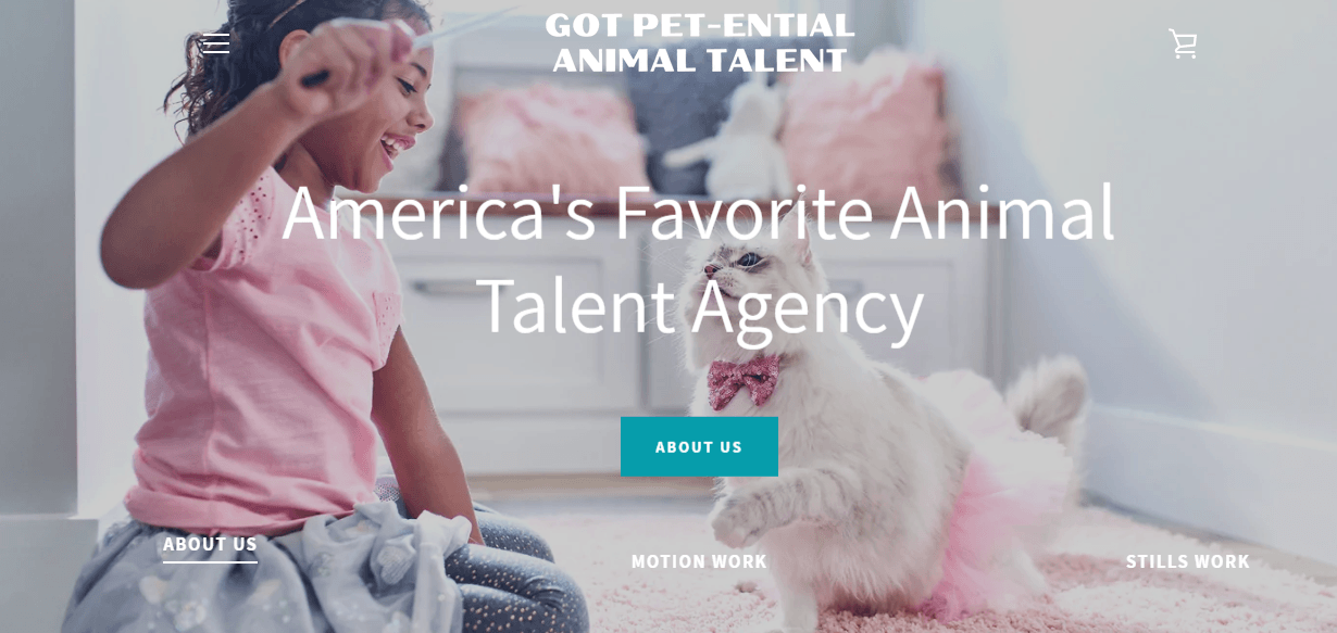 Dog modeling Michigan 