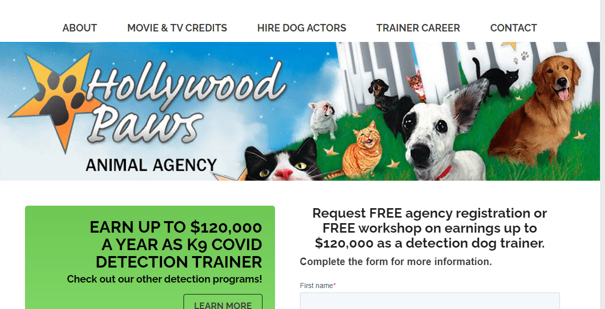 Dog modeling agency in Los Angeles 