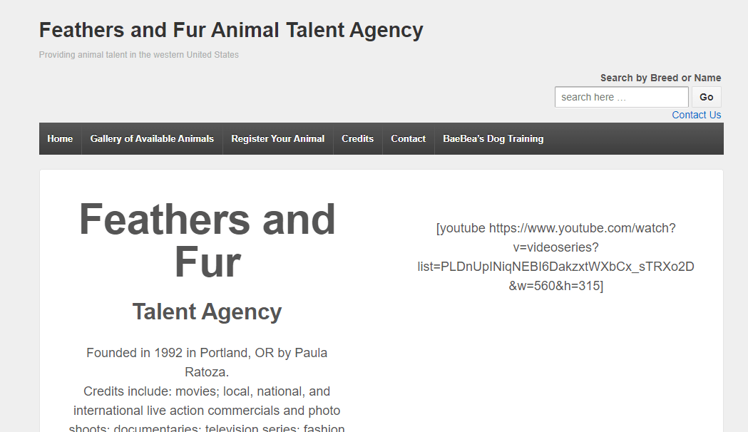 Dog Modeling agency in Portland 