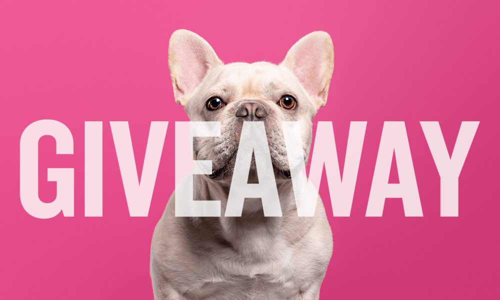 Dog influencer giveaways
