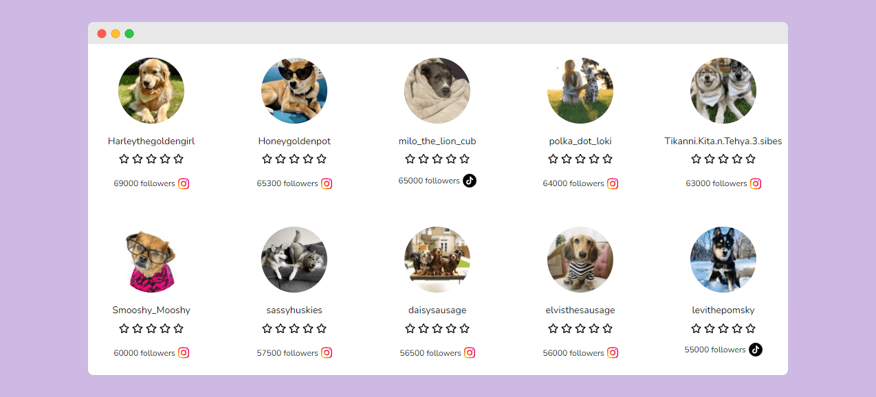 Dog Influencer Search Tool