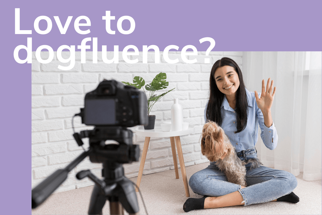 Dog owner testimonial