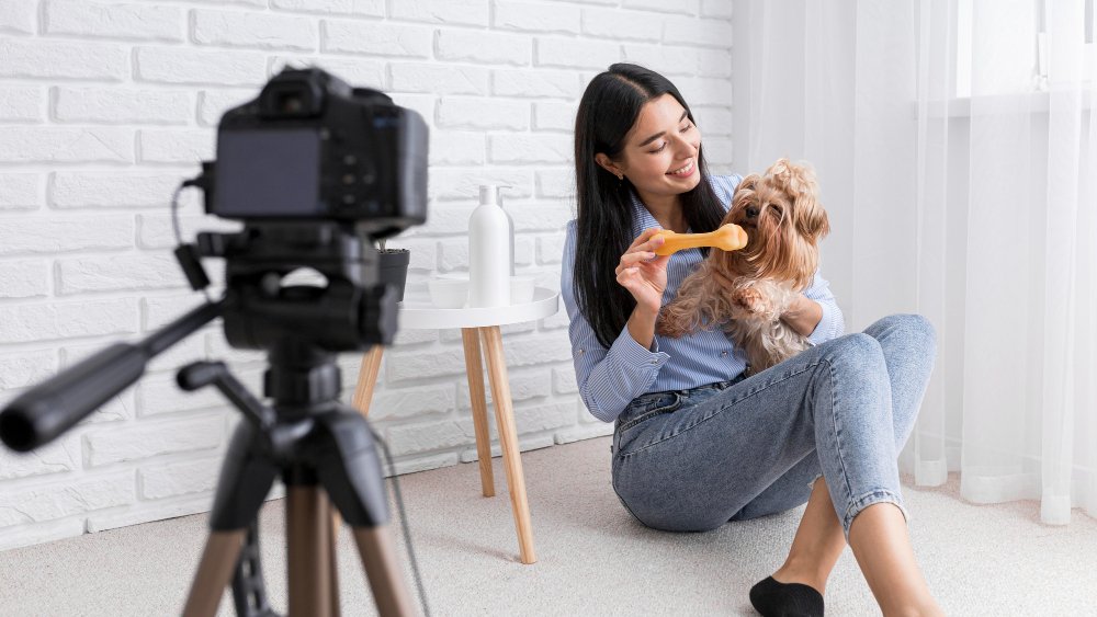 Top Dog influencers. All You Need to Know About Them