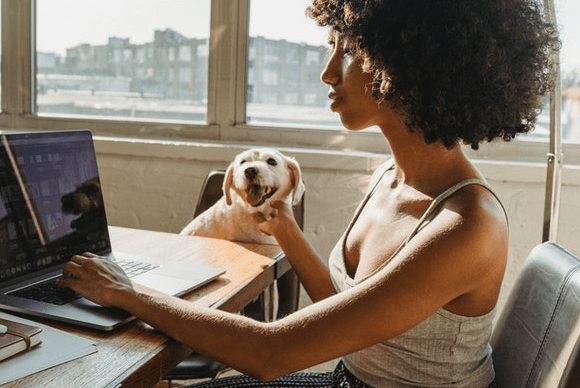 Dogfluence Free Plan and Premium Plans Explained