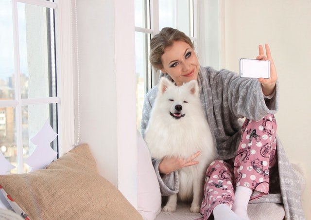 4 Ways Dog Brands Leverage Influencer Marketing