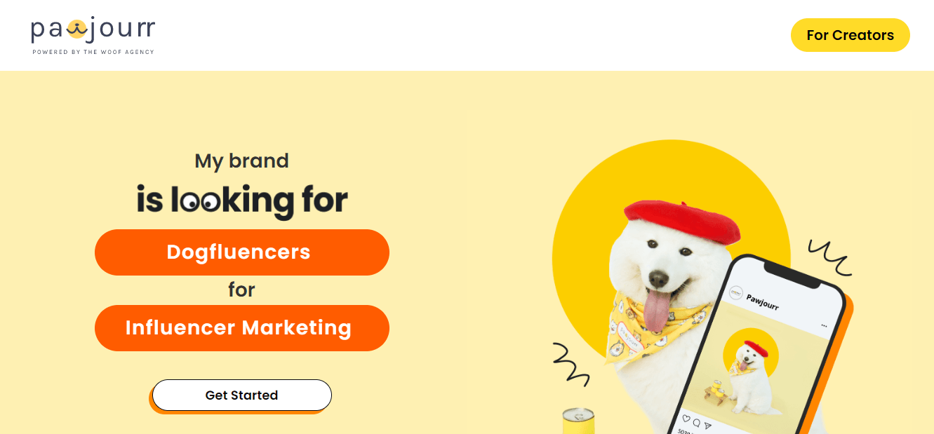 Dog modeling agency in NYC