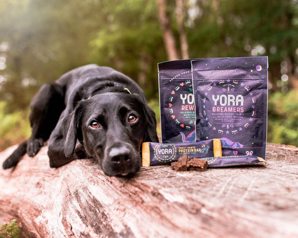 Yora dreamers snacks