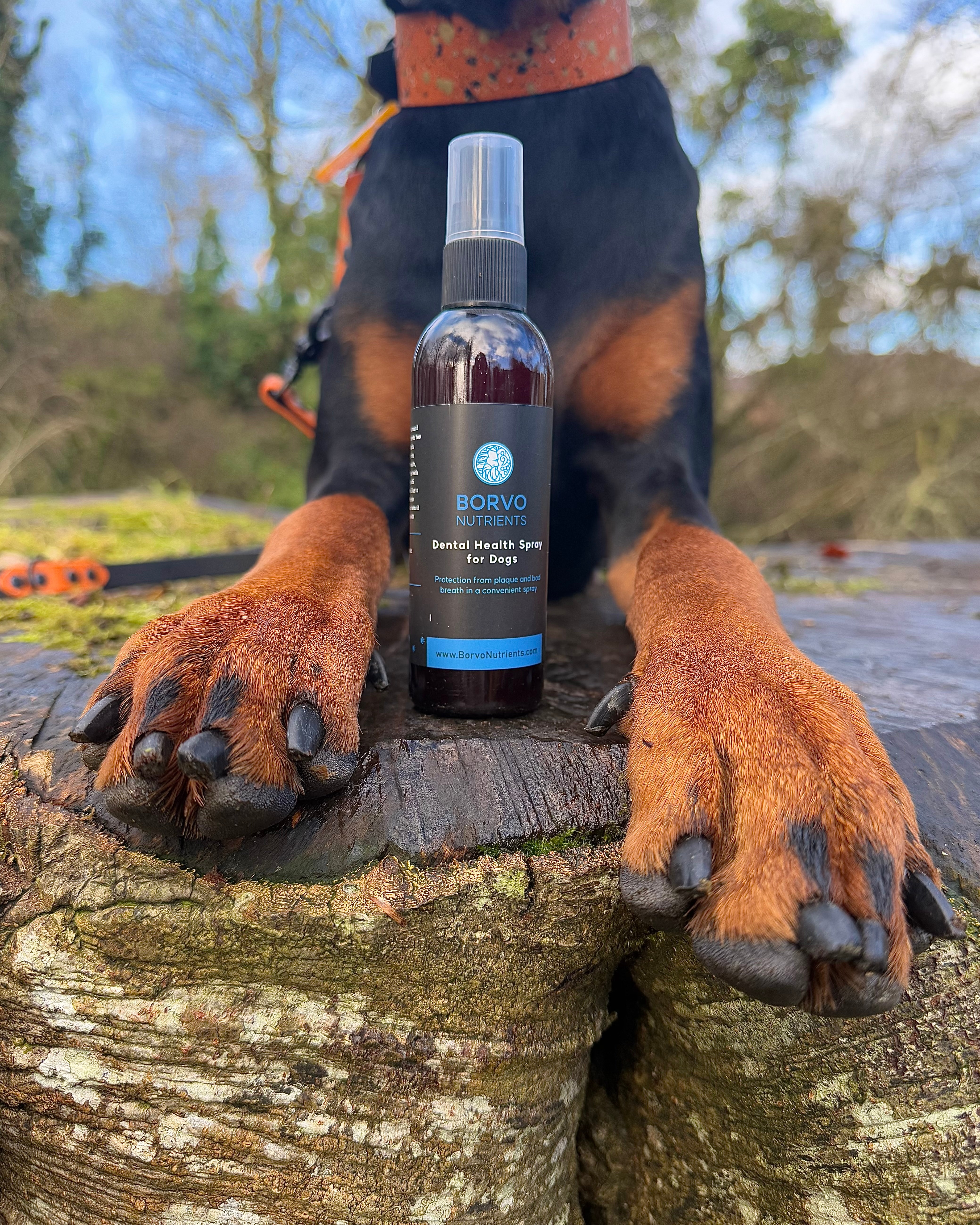 Borvo campaign image 3