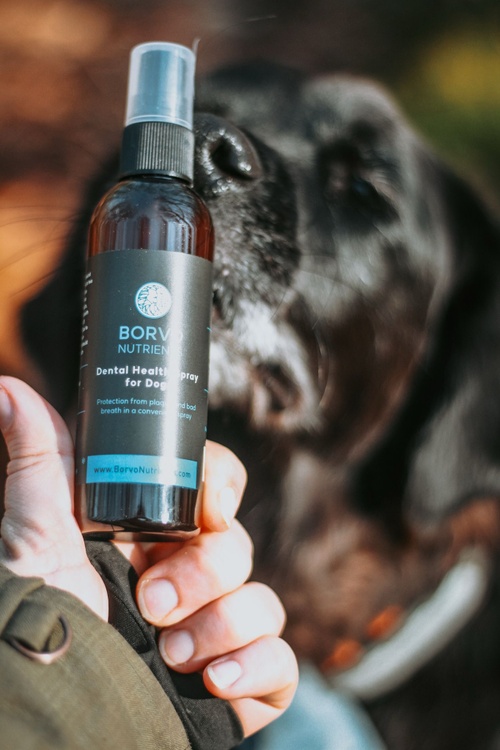 Borvo spray product close-up