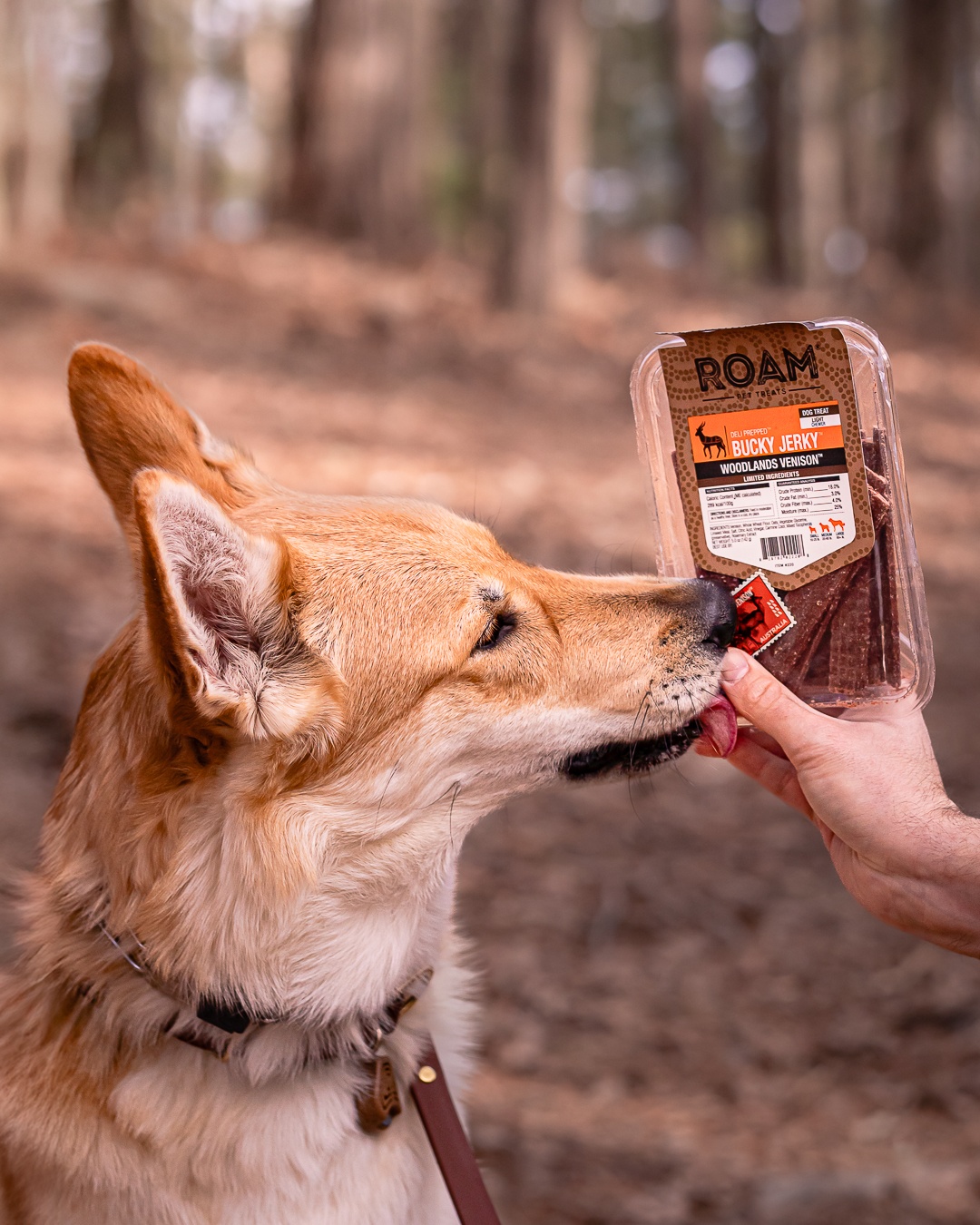 ROAM Pet Treats - Husky with product