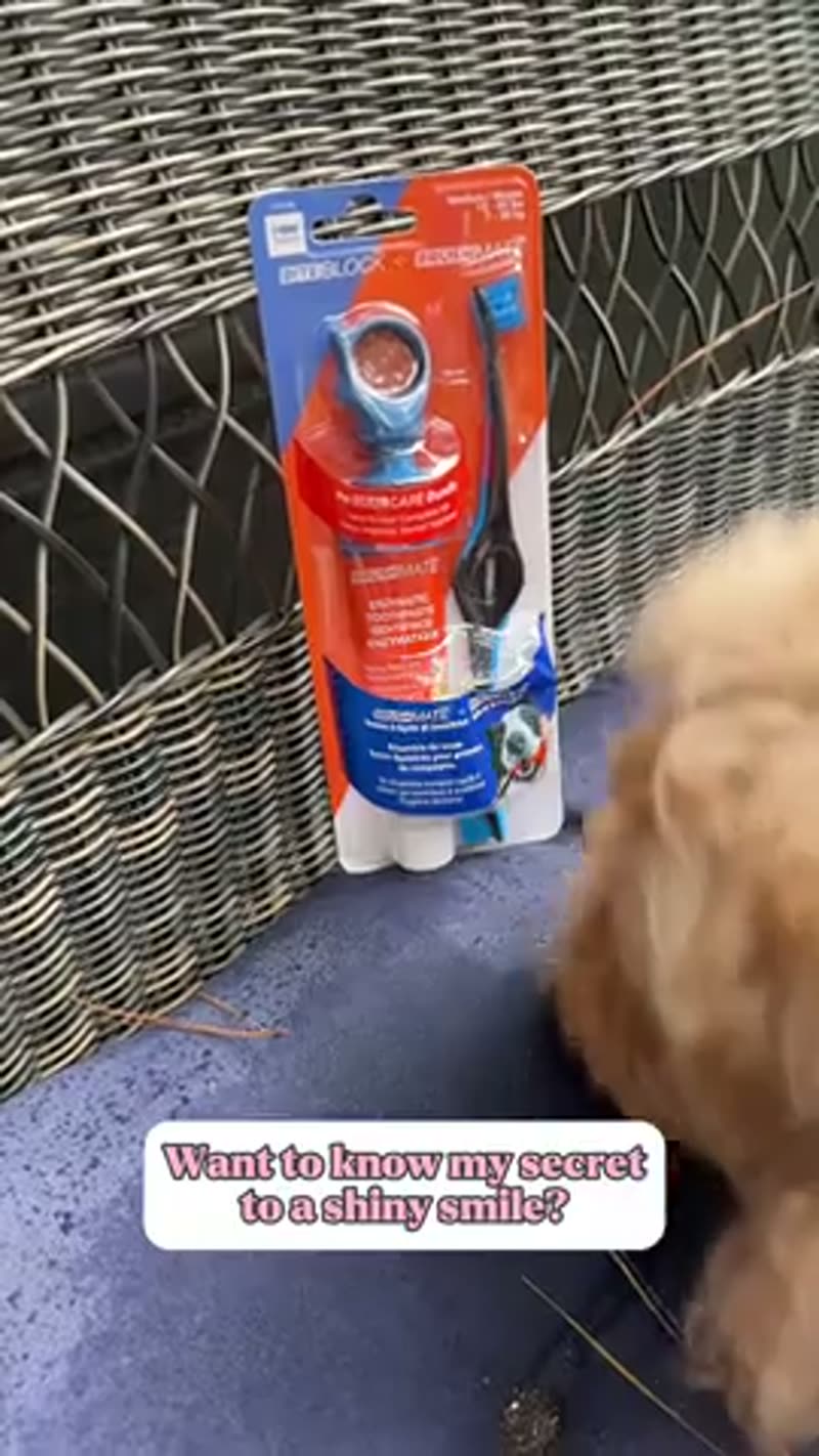 @paw_ready