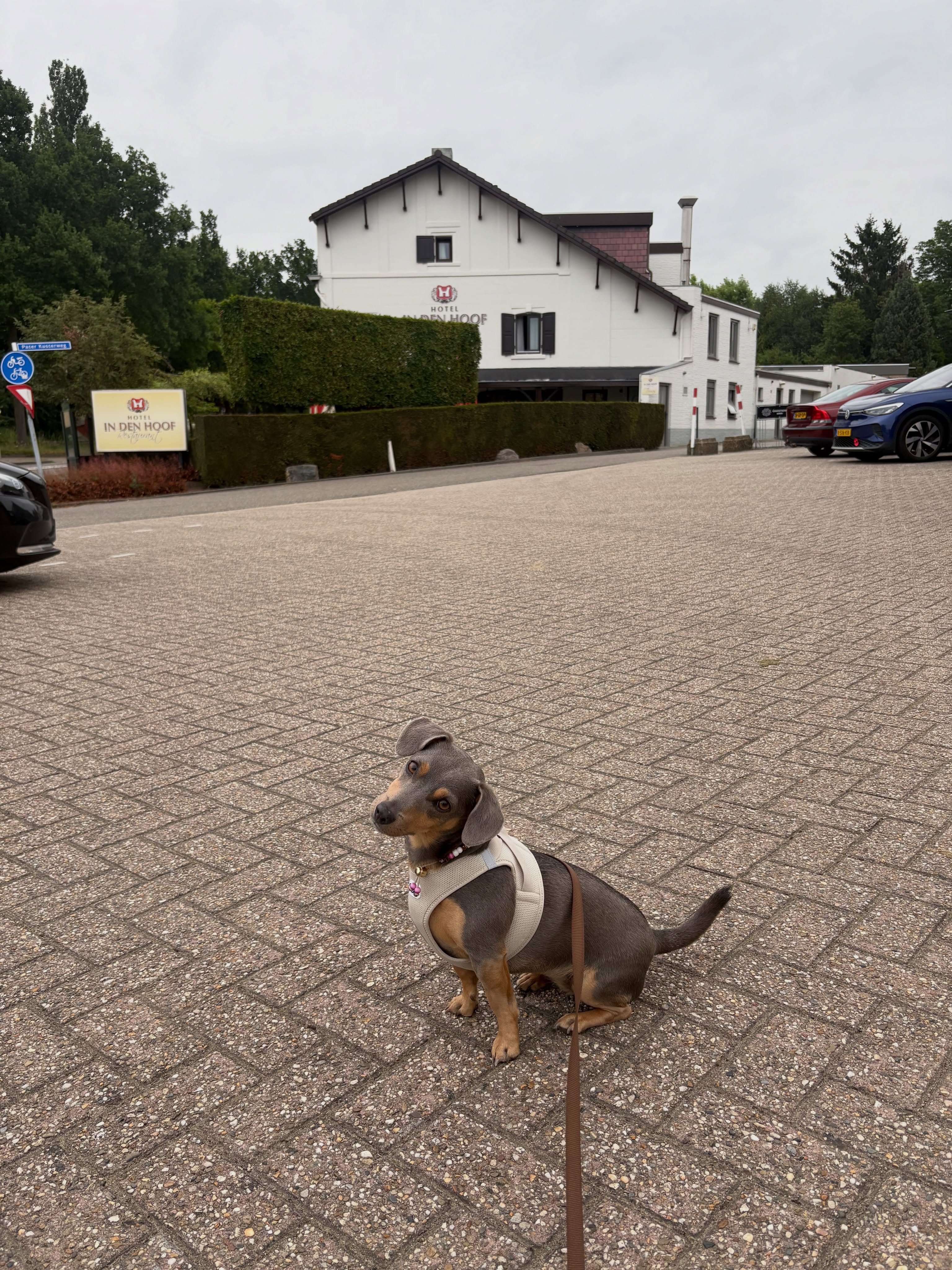 Voorbeeldwerk